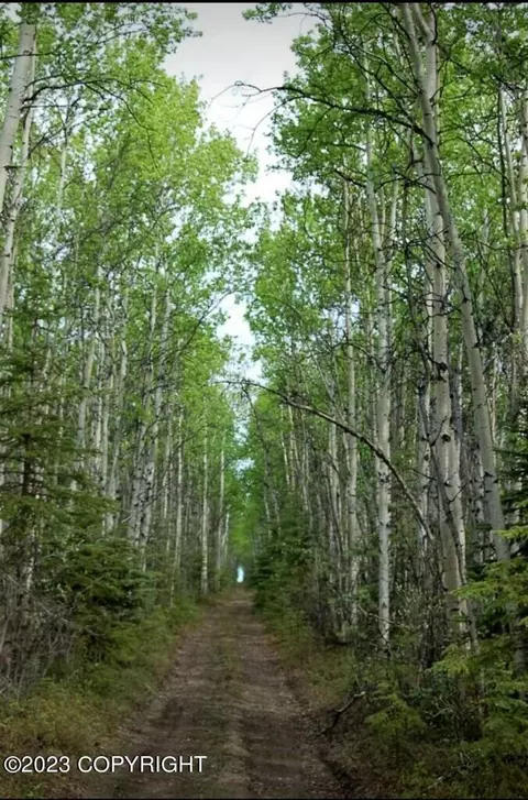 0000 No Rd, Clear, AK 99000