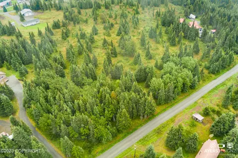 L7 Surf Street, Clam Gulch, AK 99568