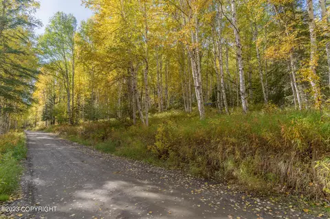Nhn Teslin Trail, Fairbanks, AK 99709