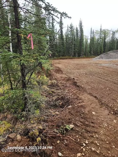 L3 B2 Mushers Way, Tok, AK 99780
