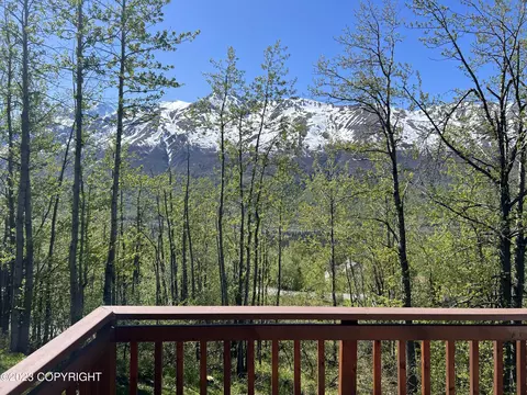 31054 Sagwon Ave, Eagle River, AK 99577 photo 38