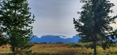 00 Basargin Rd, Homer, AK 99603