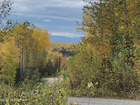21564 W Bow Tie Loop, Willow, AK 99688 photo 5