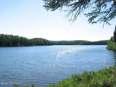 21564 W Bow Tie Loop, Willow, AK 99688 photo 2
