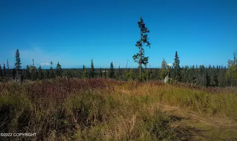 D7 Alaskan Wildwood Ranch, Nikolaevsk, AK 99556