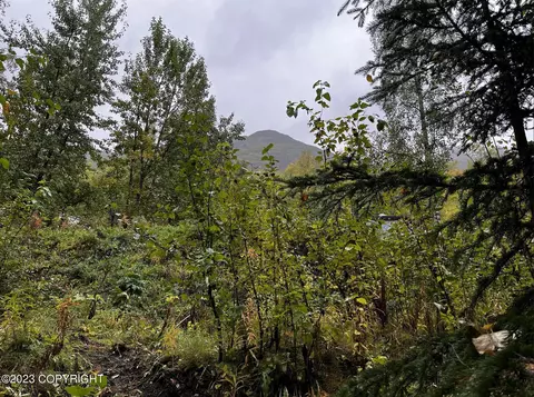 000 Myrtle Dr, Eagle River, AK 99577 photo 2