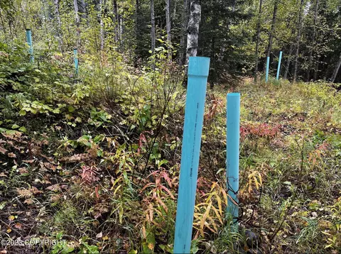 000 Myrtle Dr, Eagle River, AK 99577 photo 4
