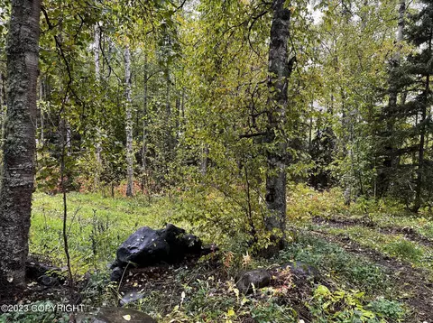 000 Myrtle Dr, Eagle River, AK 99577 photo 6