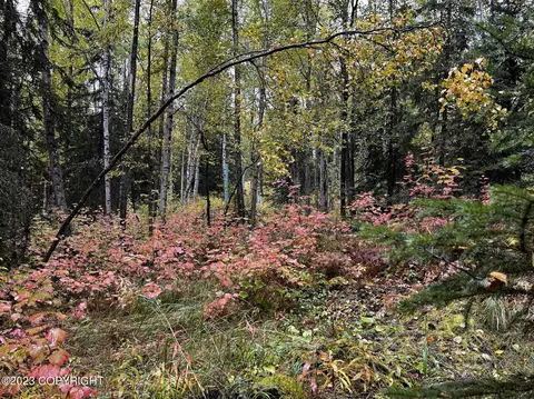 000 Myrtle Dr, Eagle River, AK 99577 photo 8