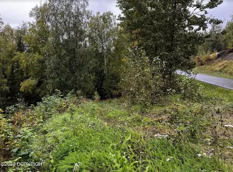 000 Myrtle Dr, Eagle River, AK 99577 photo 7