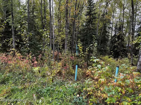 000 Myrtle Dr, Eagle River, AK 99577 photo 5