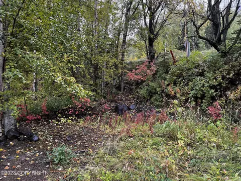 000 Myrtle Dr, Eagle River, AK 99577 photo 9