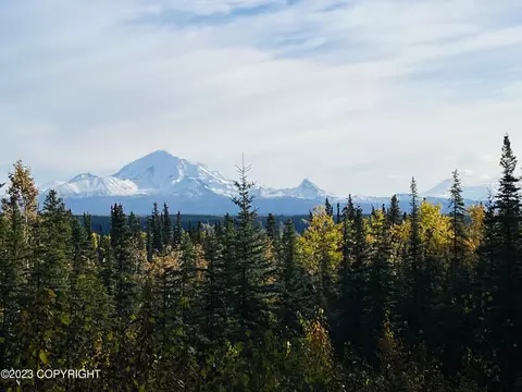 L8 B9 Tazlina Sw Sub, Copper Center, AK 99573