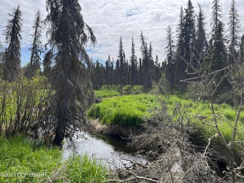 Tract B-3 North Woods Street, Nikiskinorth Kenai, AK 99635