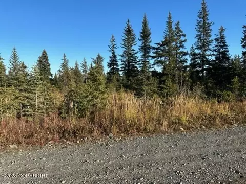 31600 Whiskey Gulch St, Anchor Point, AK 99556