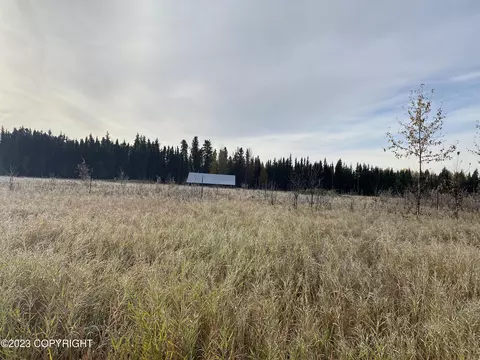 5608 Tanana Loop, Delta Junction, AK 99737 photo 7