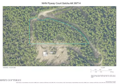 Nhn Flyway Court, Salcha, AK 99714