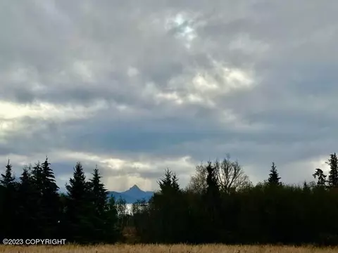 59880 Winding Trails Ln, Homer, AK 99603
