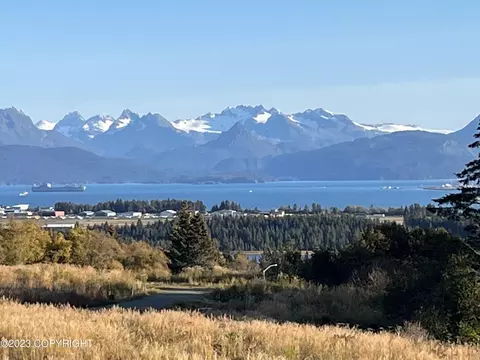 750 Sanjay Ct, Homer, AK 99603