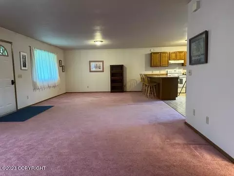 259 E Bayview Ave, Homer, AK 99603 photo 24