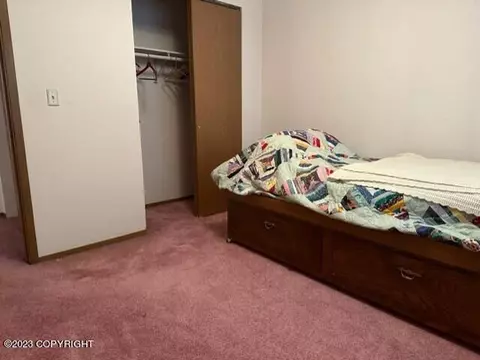 259 E Bayview Ave, Homer, AK 99603 photo 42