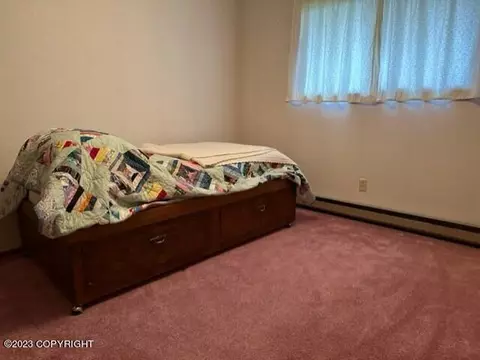259 E Bayview Ave, Homer, AK 99603 photo 41