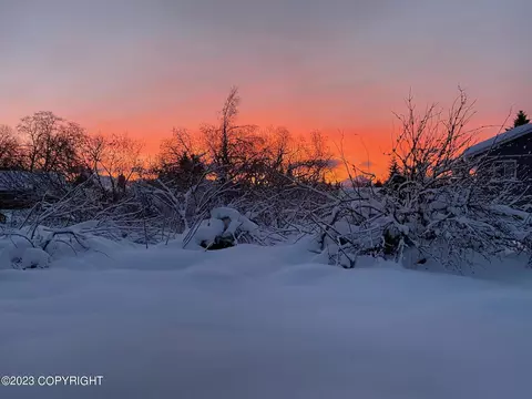 259 E Bayview Ave, Homer, AK 99603 photo 4