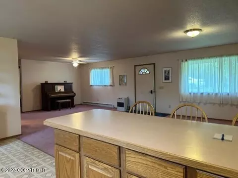 259 E Bayview Ave, Homer, AK 99603 photo 33