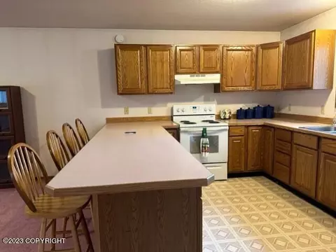 259 E Bayview Ave, Homer, AK 99603 photo 32