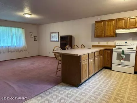 259 E Bayview Ave, Homer, AK 99603 photo 27