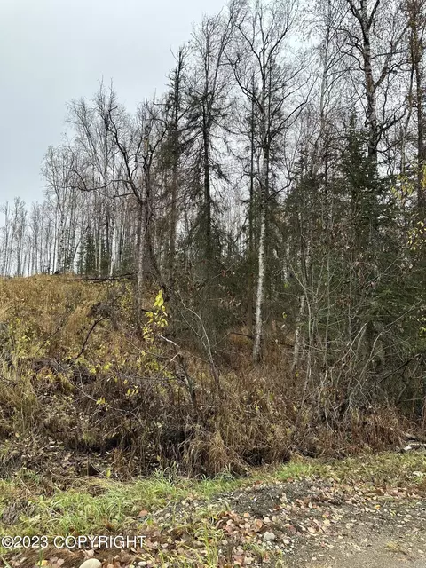 8437 Snow Goose Dr, Wasilla, AK 99654
