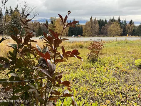 1124 Father Dean Ct, Homer, AK 99603