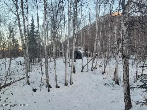 20236 Tulwar Dr, Chugiak, AK 99567 photo 65