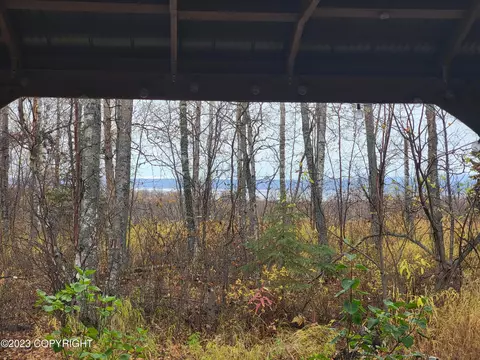 20236 Tulwar Dr, Chugiak, AK 99567 photo 57