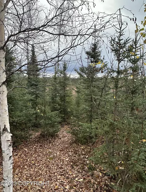 31395 E No Road Trl, Talkeetna, AK 99676