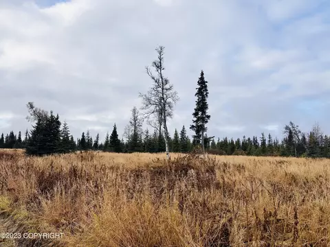 000 Handcart Rd, Anchor Point, AK 99556