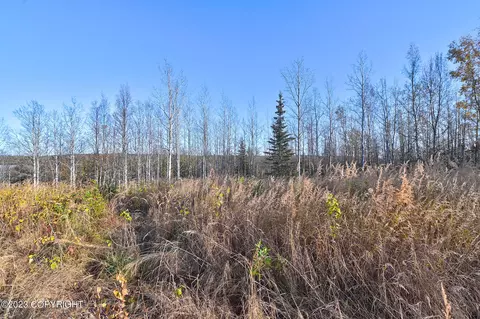 L1 Saddleback Circle, Soldotna, AK 99669