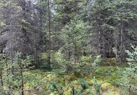 lot51 Sandy Ln, Nikiskinorth Kenai, AK 99611