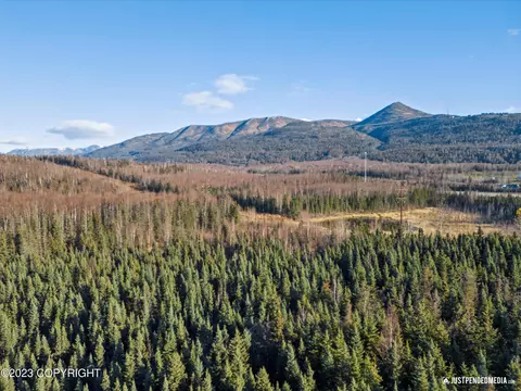 13869 Akers Cir, Eagle River, AK 99577 photo 18
