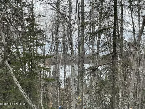 17821 Marion Dr, Wasilla, AK 99654