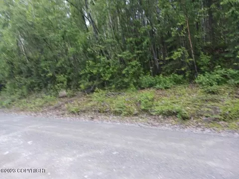 48529 Bendapole Rd, Talkeetna, AK 99676