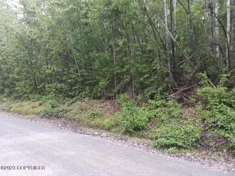 48549 S Bendapole Rd, Talkeetna, AK 99676