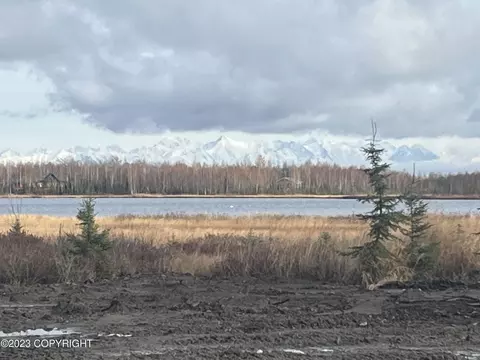 1109 S Rogers Ct, Big Lake, AK 99652