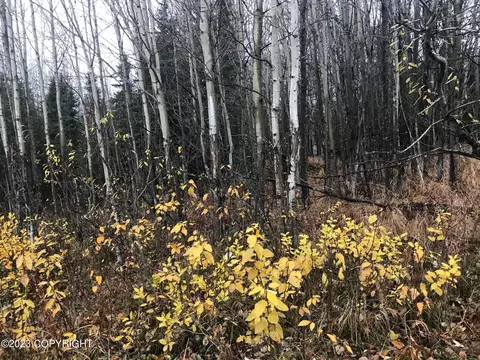 L2 Sterling Highway, Soldotna, AK 99669