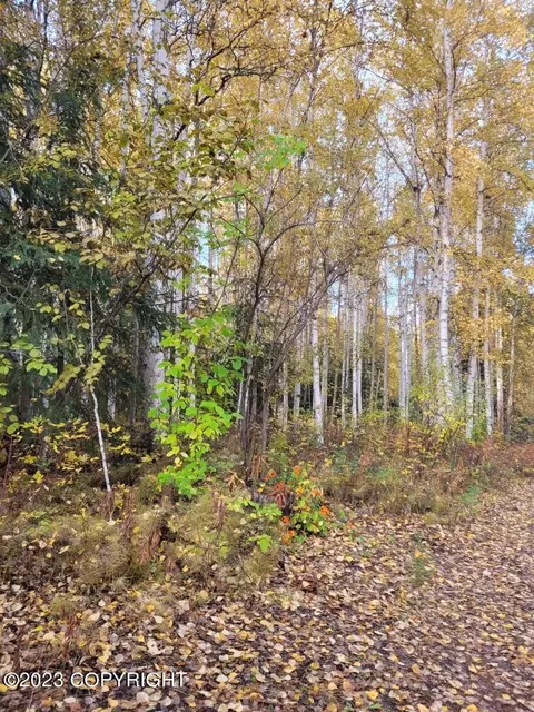 465 Lone Pine Dr, Fairbanks, AK 99709