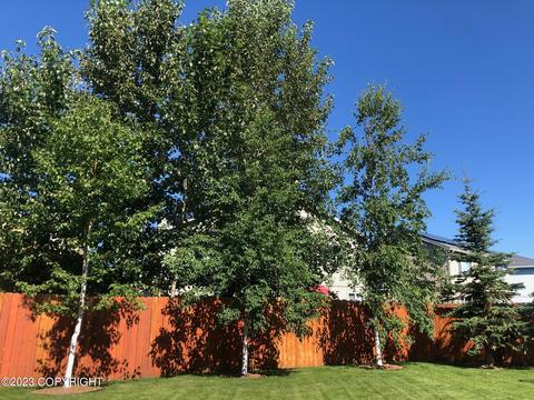 2871 Morgan Loop, Anchorage, AK 99516 photo 61