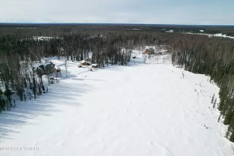 View/Area - 50629 S Caswell Creek Cir, Willow, AK 99688 photo 5 of 11