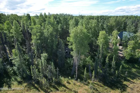 Other - 50629 S Caswell Creek Cir, Willow, AK 99688 photo 13 of 33