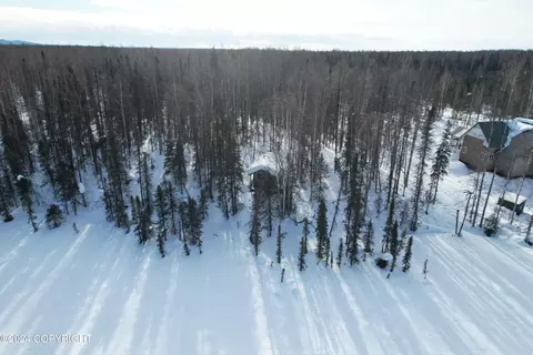 View/Area - 50629 S Caswell Creek Cir, Willow, AK 99688 photo 10 of 11