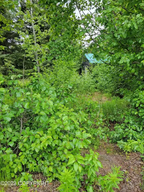 35150 N Fork Rd, Anchor Point, AK 99556
